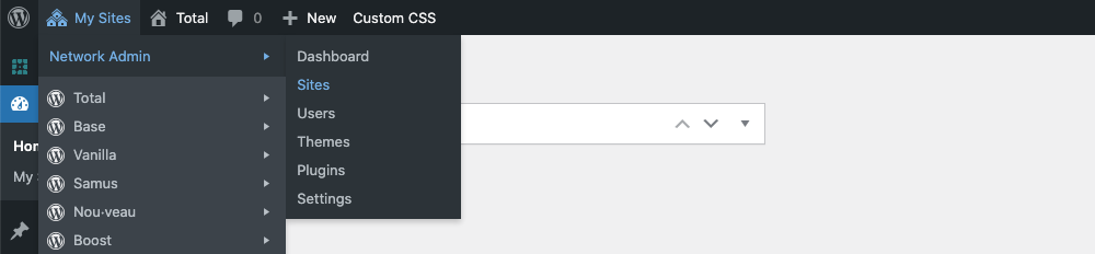 WordPress Network Admin Settings