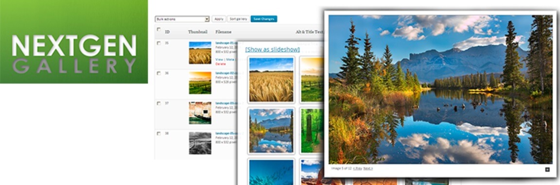 The NextGEN Gallery plugin