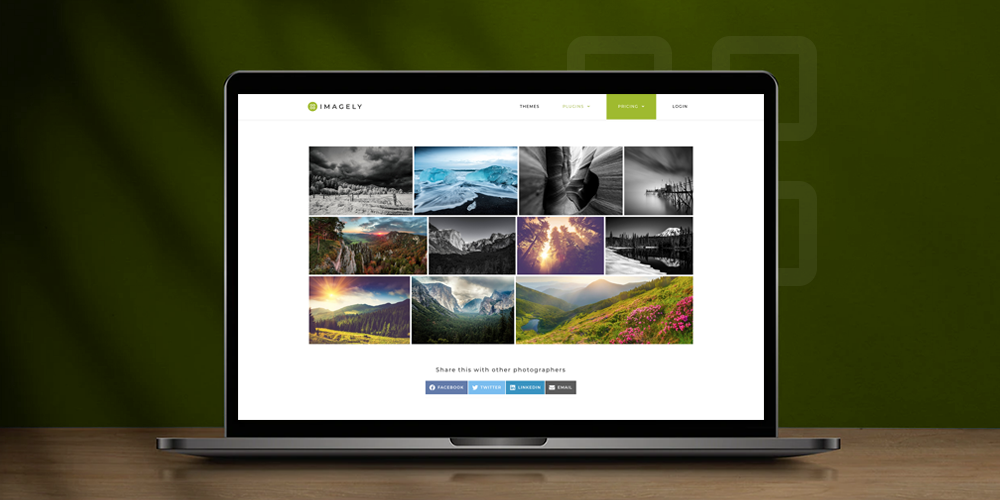 NextGEN Gallery WordPress Plugin Review