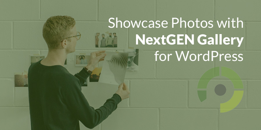 The Beginner’s Guide to Showcasing Your Photos With NextGEN Gallery