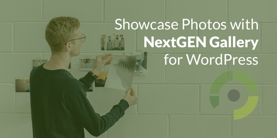 The Beginner’s Guide to Showcasing Your Photos With NextGEN Gallery