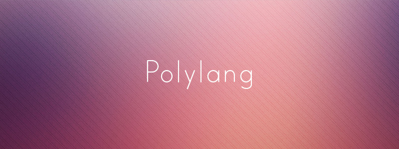 Translate WordPress with Polylang