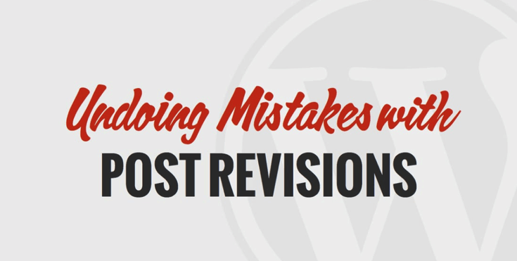 WP 101 Post Revisions Video