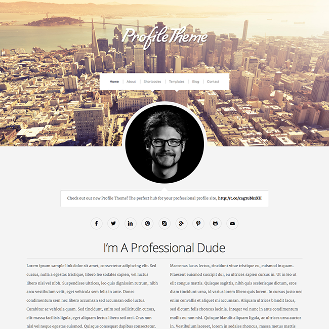 profile personal portfolio wordpress theme