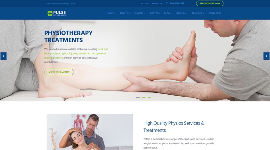 Pulse-Physiotherapy Medical WP Theme