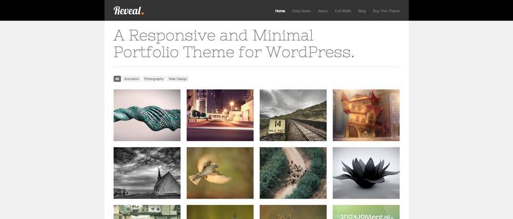 Best Minimal WordPress Themes: Reveal