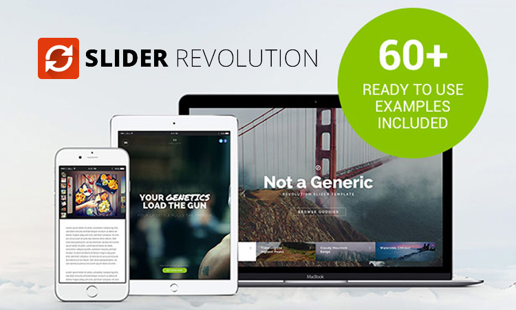 Revolution Slider WordPress Plugin