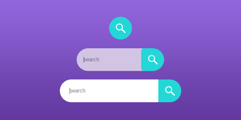 Search Hover Animation