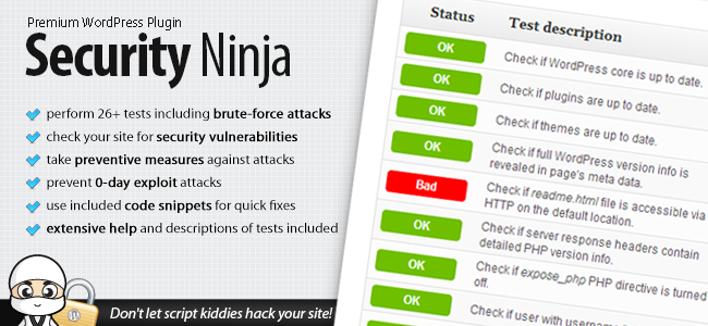 Can Security Ninja Keep Your Site Safe?