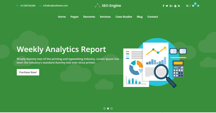 SEOEngine - Tema de WordPress para agencias de agencias digitales