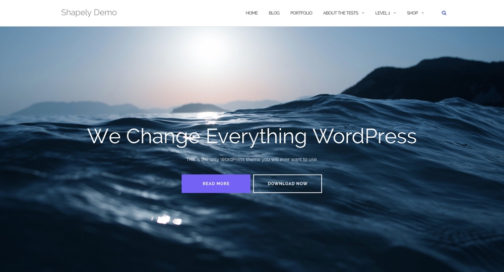 Shapely One Page Free WordPress Theme