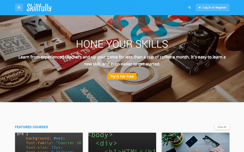 skillfully-education-theme