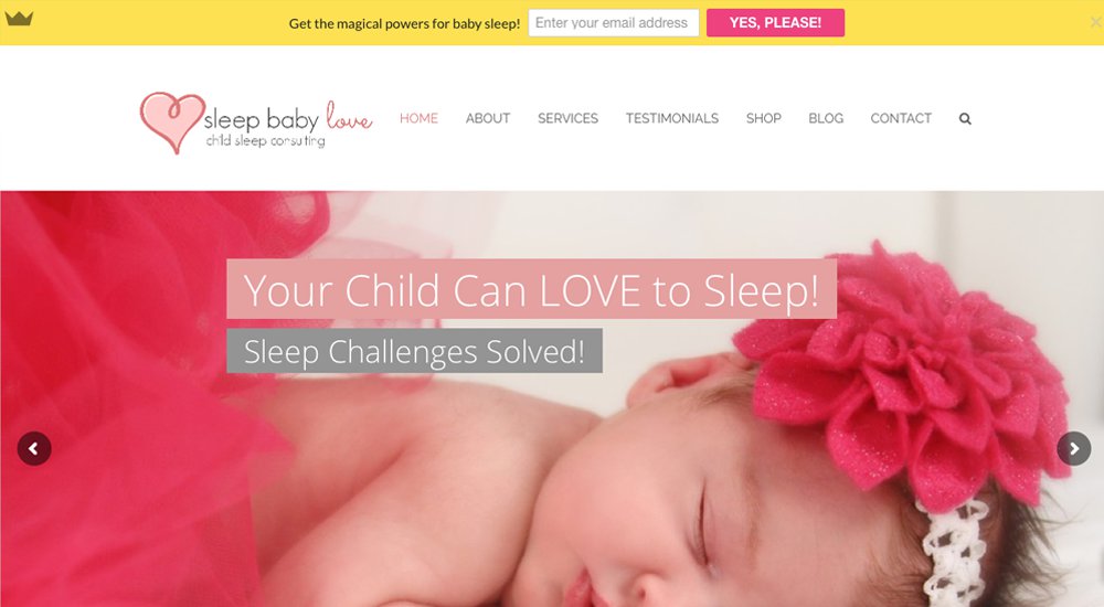 Sleep Baby Love: Total WordPress Theme