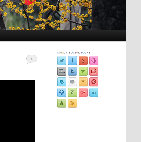 Social Candy Widget For WordPress