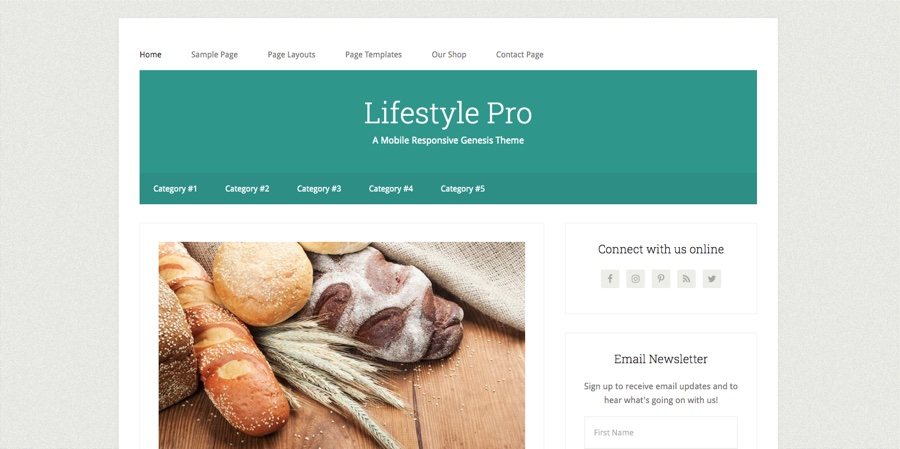 Lifestyle Pro Theme