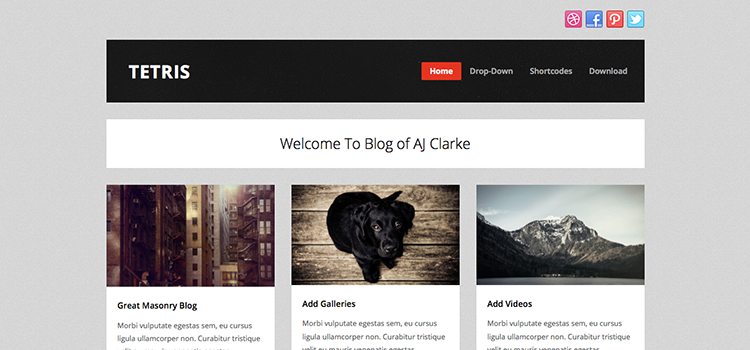 tetris-pinterest-wordpress-theme