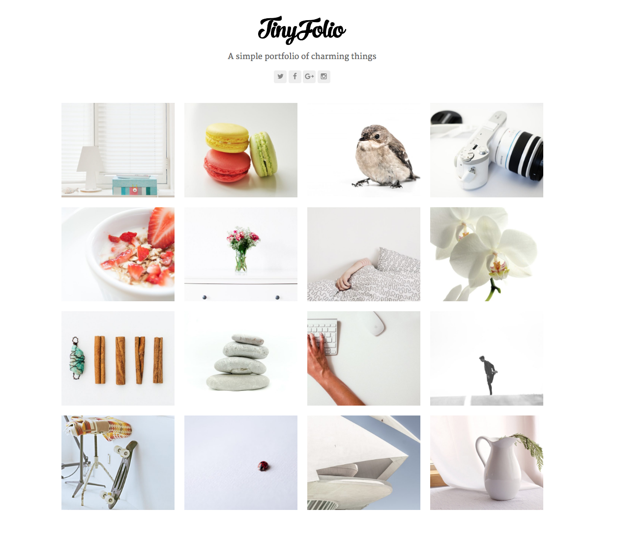 Total Tinyfolio Portfolio WordPress Theme Demo