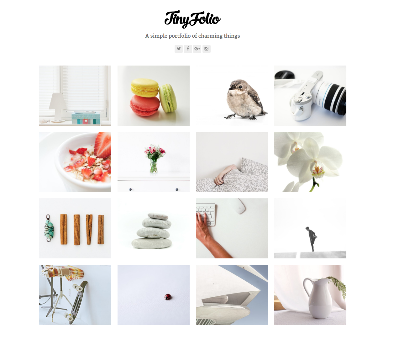 Total Tinyfolio Portfolio WordPress Theme Demo