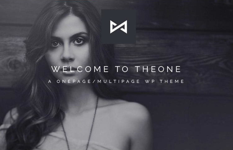 top-20-best-one-page-wordpress-themes-theone