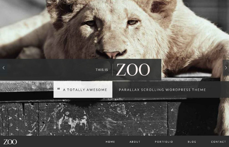 top-20-best-one-page-wordpress-themes-zoo