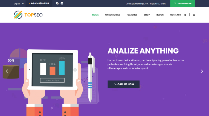 TopSEO - tema de WordPress para marketing digital