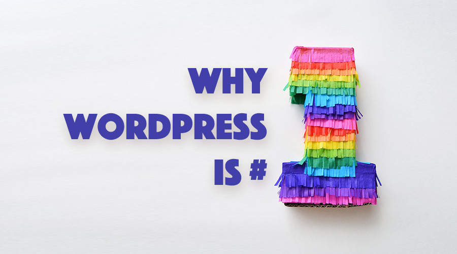 Reason Why WordPress Is the Best Platform for Your Website