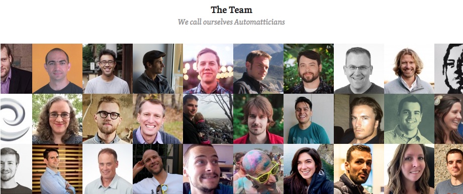 WooThemes team page