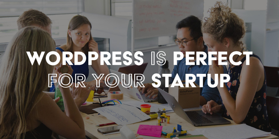 13 Reasons Why WordPress Is Ideal for Startups