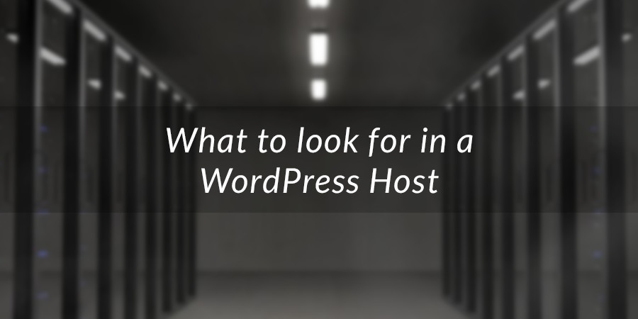 What to Look for in WordPress Hosting