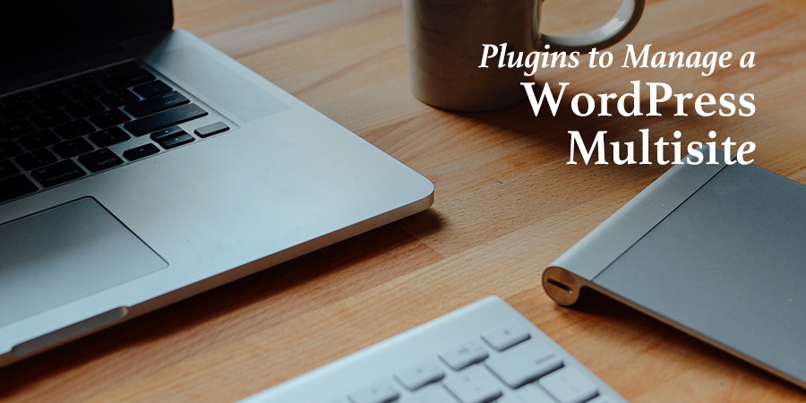 Plugins That Help To Manage a WordPress Multisite