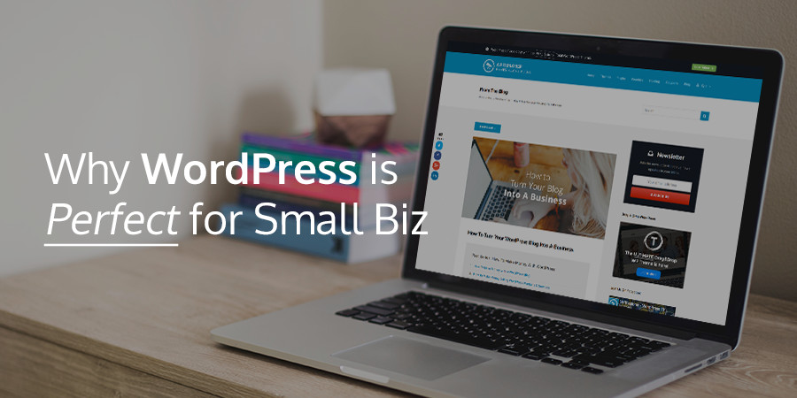 Reasons Why WordPress Is Perfect for Small Businesses