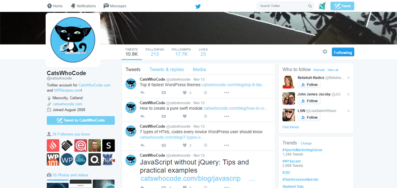wordpress-professionals-to-follow-catswhocode