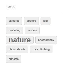 WordPress Tags