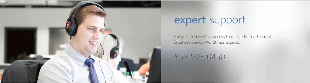 WordPress Trained Expert Support