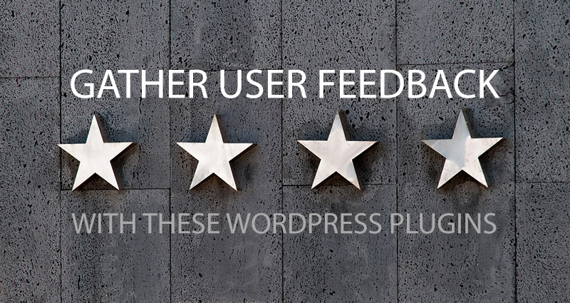 Gather User Feedback On Your WordPress Site