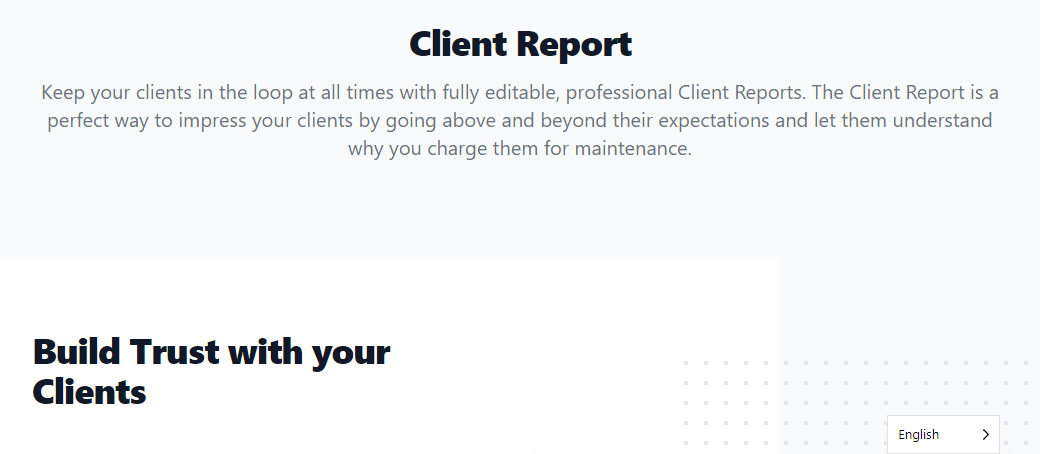 wp umbrella client report