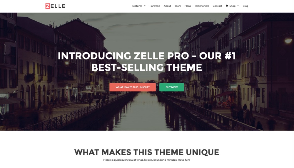 25+ Best WordPress Business Themes 2021 1